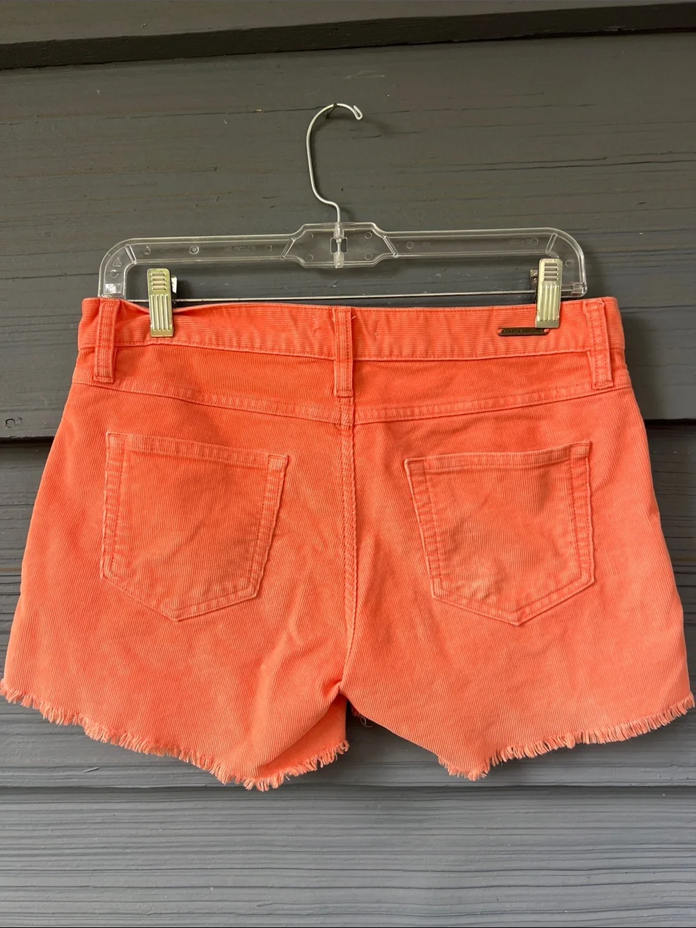 Carve shorts in coral